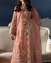 Peach Organza Suit