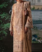 Tan Organza Suit