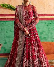 Afrozeh Hot Pink Net Suit- Pakistani Chiffon Dress