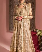 Aik Sand Gold Net Suit- Pakistani Chiffon Dress