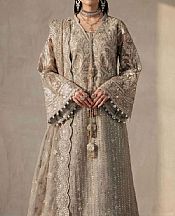 Aik Grey/Silver Organza Suit- Pakistani Chiffon Dress