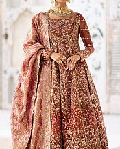 Aik Sanguine Brown Net Suit- Pakistani Designer Chiffon Suit