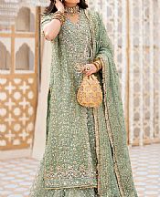 Mint Green Organza Suit