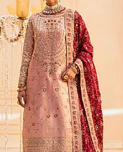 Pink Chiffon Suit