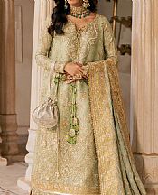 Light Green Zari Net Suit