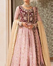Pink Chiffon Suit