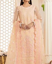 Akbar Aslam Peach Organza Suit