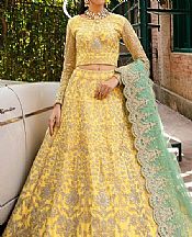 Akbar Aslam Pale Gold Net Suit- Pakistani Chiffon Dress