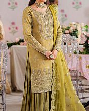 Olive Green Chiffon Suit