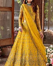 Akbar Aslam Mustard Net Suit- Pakistani Chiffon Dress