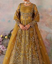 Satin Sheen Gold Organza Suit
