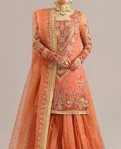 Sunrise Orange Organza Suit