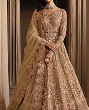 Pistachio/Pink Net Suit