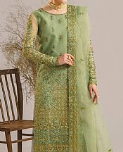 Lguana Green Organza Suit