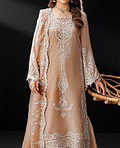 Beige Chiffon Suit