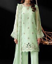 Mint Chiffon Suit