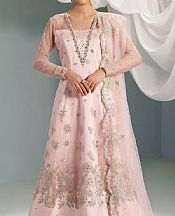 Pale Pink Net Suit