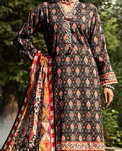 Almirah __2 Pcs)- Pakistani Winter Dress