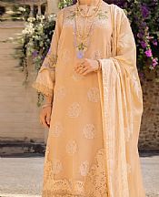 Almirah Persian Orange Organza Suit- Pakistani Designer Chiffon Suit