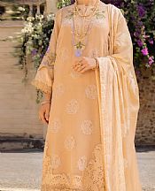 Persian Orange Organza Suit- Pakistani Chiffon Dress
