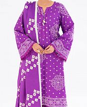 Almirah Violet Cambric Suit (2 pcs)- Pakistani Winter Clothing