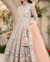 Anamta Grey Net Suit- Pakistani Chiffon Dress