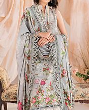 Light Grey Viscose Suit