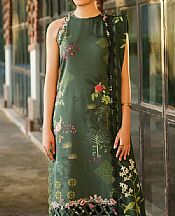 Asifa N Nabeel Green Viscose Suit- Pakistani Winter Clothing