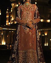 Coral Net Suit- Pakistani Chiffon Dress