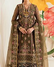 Ayzel Olive Organza Suit- Pakistani Designer Chiffon Suit