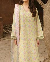 Cream Lawn Suit