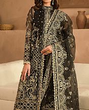 Ayzel Black Organza Suit- Pakistani Designer Chiffon Suit
