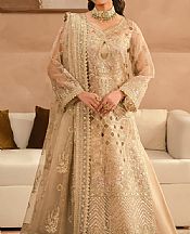Ayzel Tan Organza Suit- Pakistani Chiffon Dress