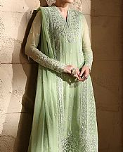 Light Green Chiffon Suit
