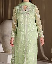 Light Green Chiffon Suit