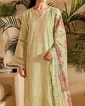 Green Mist Cotton Suit
