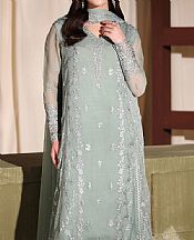 Ash Grey Chiffon Suit