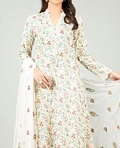 White Cotton Suit- Pakistani Winter Dress