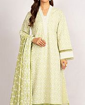 Bareeze Tea Green Karandi Suit- Pakistani Winter Dress
