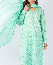 Mint Green Lawn Suit