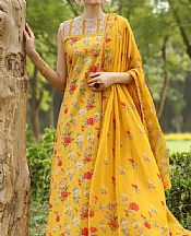 Mustard Cambric Suit