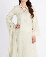 Bareeze Sage Lawn Suit- Pakistani Lawn Dress