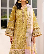 Olive Lawn Suit