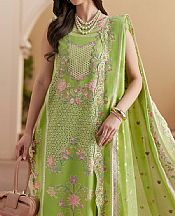 Bin Ilyas Green Lawn Suit- Pakistani Lawn Dress
