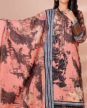 Sea Pink Khaddar Suit (2 pcs)