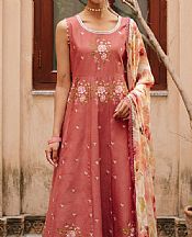 Coral Lawn Suit