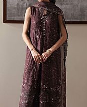 Wine Berry Chiffon Suit