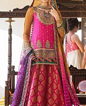 Shocking Pink Chiffon Suit- Pakistani Bridal Dress