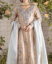 Tan Tissue Suit- Pakistani Formal Designer Dress