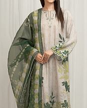 Edenrobe Pastel Grey/Sage Raw Silk Suit- Pakistani Chiffon Dress